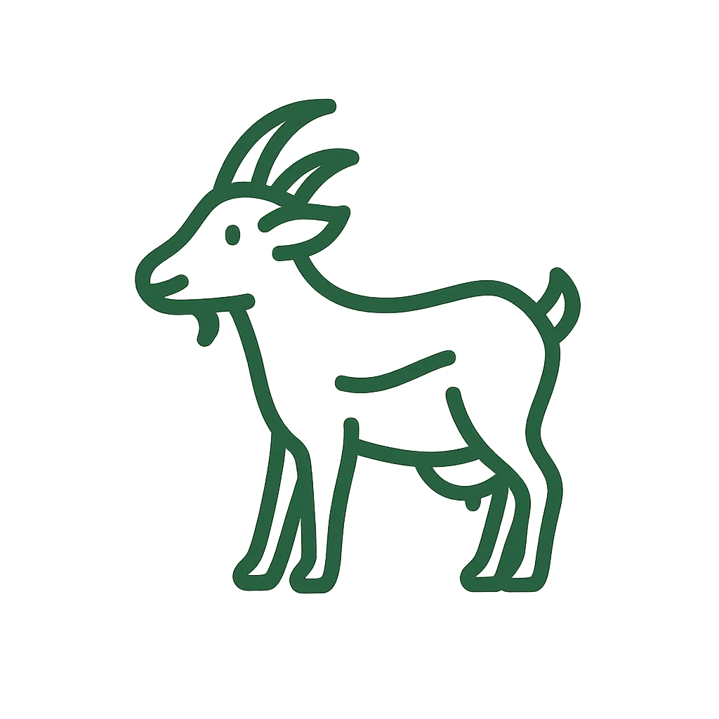 MiniZOO – zwierzęta na miejscu