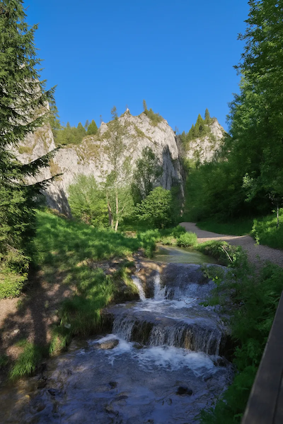 Wąwóz Homole – szlak turystyczny w Pieninach